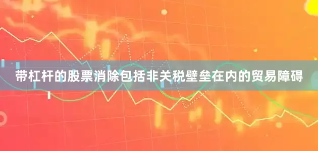 带杠杆的股票消除包括非关税壁垒在内的贸易障碍